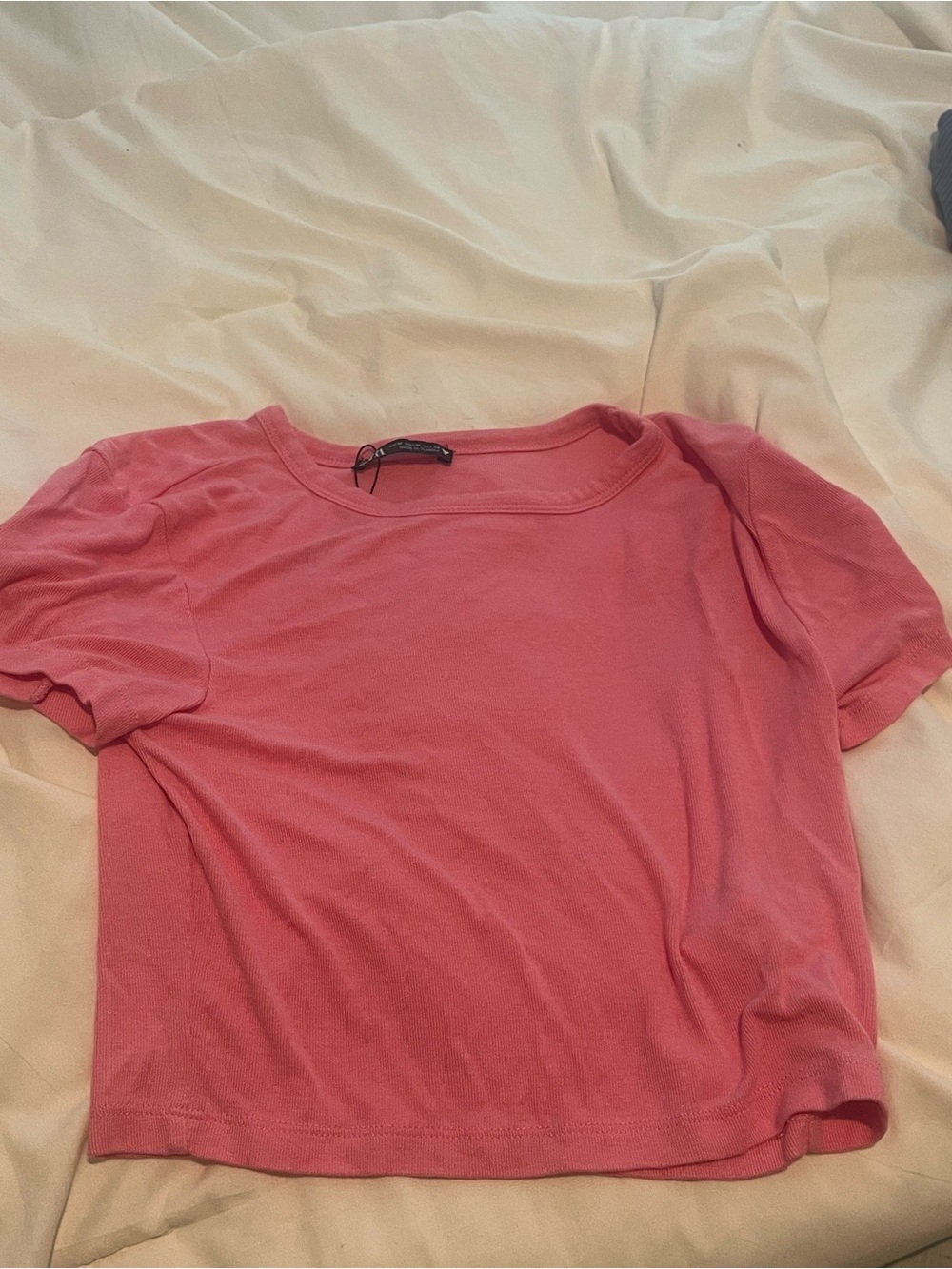 Zara Pink Short Sleeve Crop Top